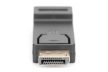 DIGITUS AK-340602-000-S Full HD 60Hz Dual-Mode 1.1a DisplayPort - HDMI type A adapter